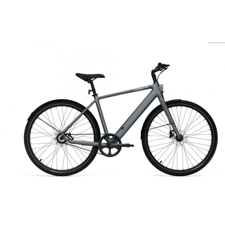 DVIRATIS 28" ELEKTRINIS TENWAYS CGO600 PRO 250WH VYR. PILKAS MATINIS