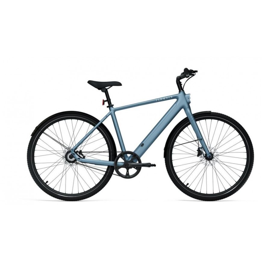 DVIRATIS 28" ELEKTRINIS TENWAYS CGO600 PRO 250WH VYR. MĖLYNAS MATINIS