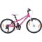 Vaikiškas dviratis Pink Temper