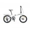 SULANKSTOMAS DVIRATIS 20" CLASSIC COMPACT 8SP EQ BALTAS