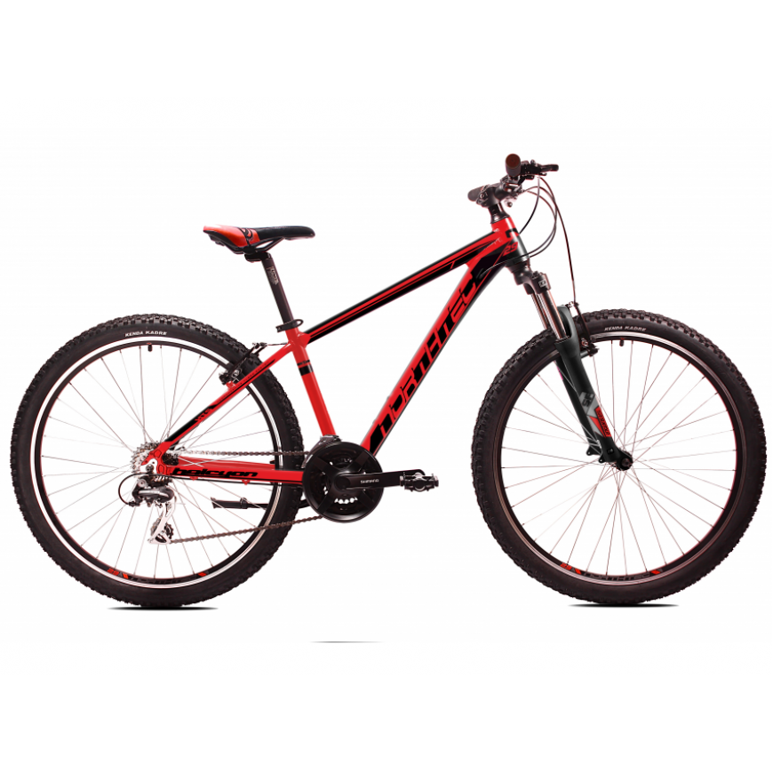 Dviratis Northtec Halcyon 29"